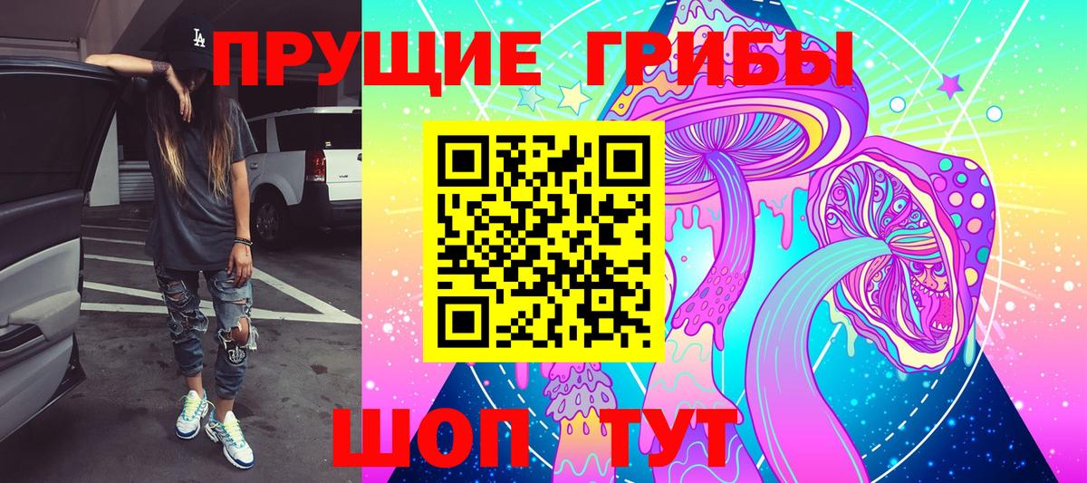 Галлюциногенные грибы Cubensis Черкесск