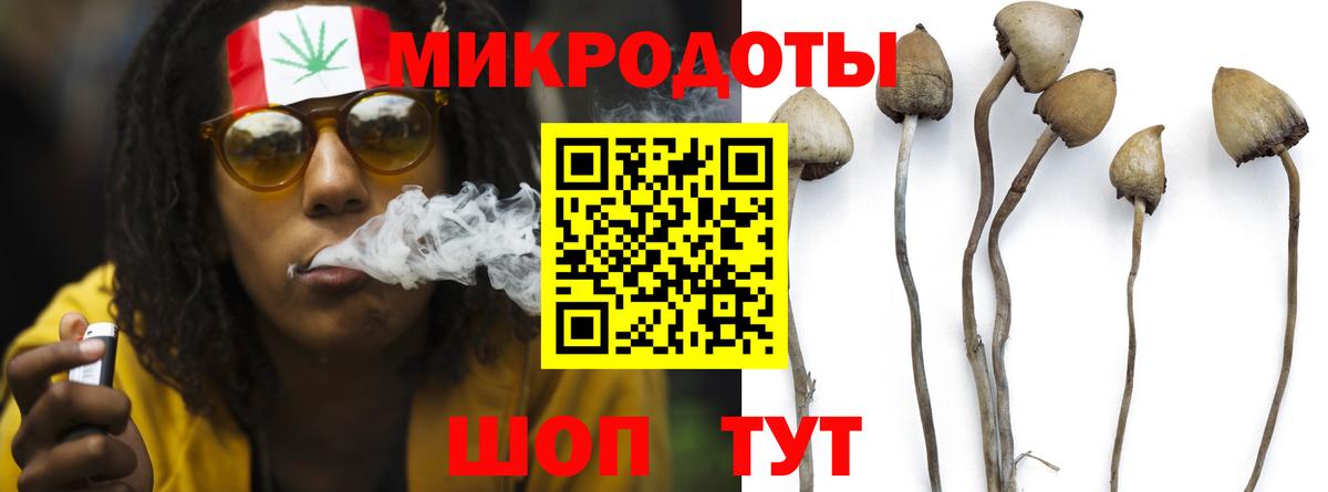 Черкесск  Галлюциногенные грибы GOLDEN TEACHER  Вход с VPN 